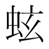 韩国 蚿