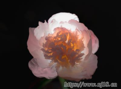 又喪又高級的網名最新 高端喪的簡單網名 又喪又高級的網名最新 高端喪的簡單網名