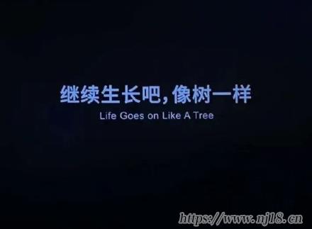 容易吸引人的微信網名 穩重又很氣質的網名 容易吸引人的微信網名 穩重又很氣質的網名