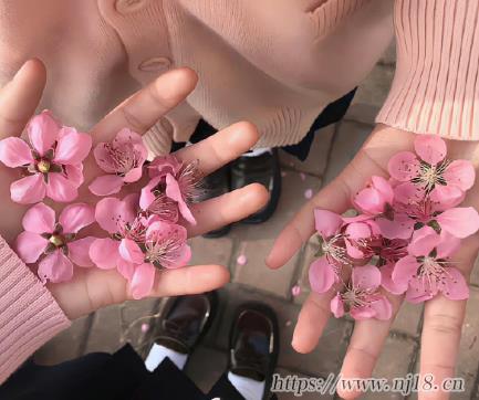心死的網名絕望傷感 2023絕望時用的昵稱 心死的網名絕望傷感 2023絕望時用的昵稱