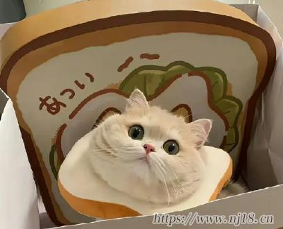 桃花和財運並存微信網名大全 交財運和桃花運的網名